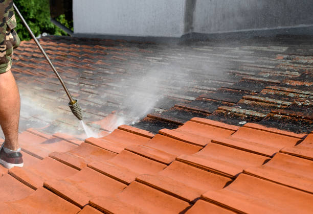 Pressure Washing Brick in Jacksonville, AL