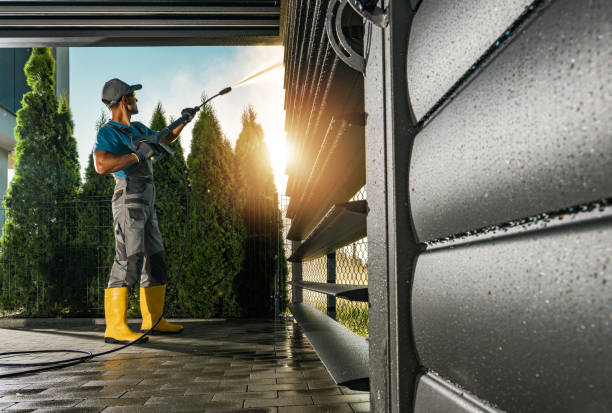 Best Roof Pressure Washing  in Jacksonville, AL