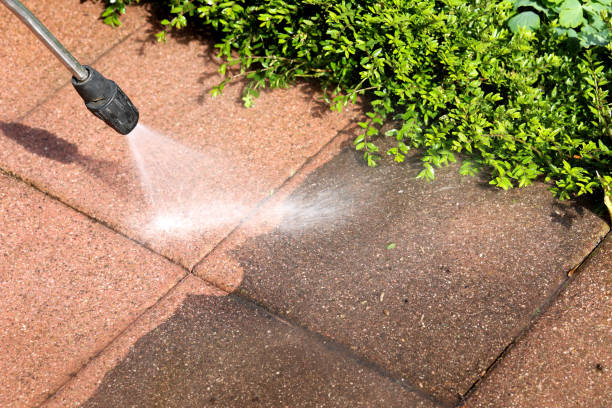 Best Exterior Home Cleaning  in Jacksonville, AL